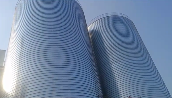 西双版纳2座混凝土高架卷板仓